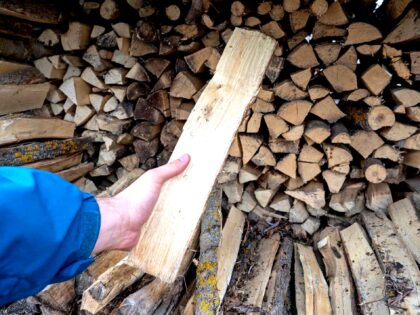 pilzarredo-ecco-i-metodi-migliori-per-asciugare-la-legna-e-ottenere-il-massimo-rendimento-per-un-inv