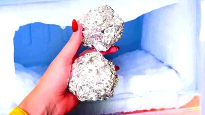 pilzarredo-queste-palline-di-alluminio-nel-congelatore-cambiano-il-modo-di-conservare-gli-alimenti-s