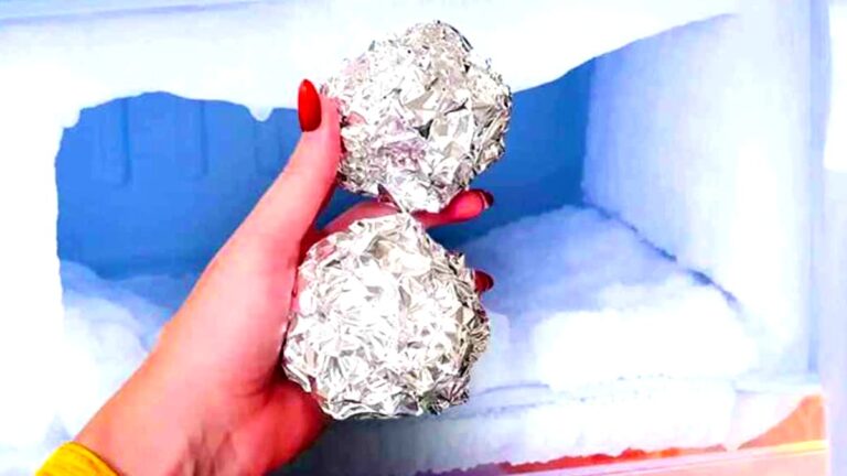 pilzarredo-queste-palline-di-alluminio-nel-congelatore-cambiano-il-modo-di-conservare-gli-alimenti-s