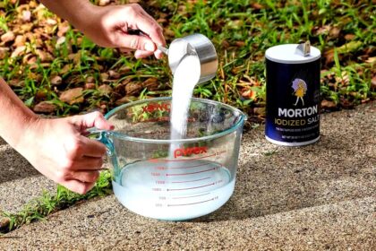 pilzarredo-giardino-la-mia-ricetta-per-preparare-un-diserbante-molto-troppo-potente-con-il-sale-ed-e