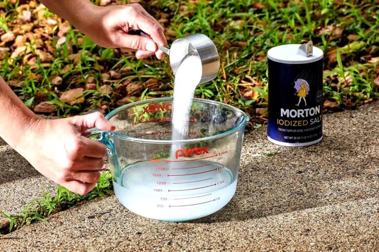 pilzarredo-giardino-la-mia-ricetta-per-preparare-un-diserbante-molto-troppo-potente-con-il-sale-ed-e