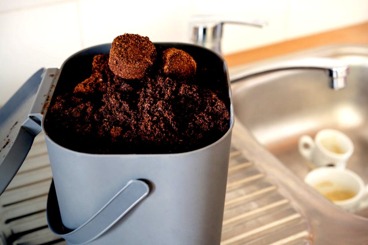 pilzarredo-smettete-di-buttare-i-fondi-di-caffe-metteteli-in-frigorifero-per-conservarli-il-tempo-di